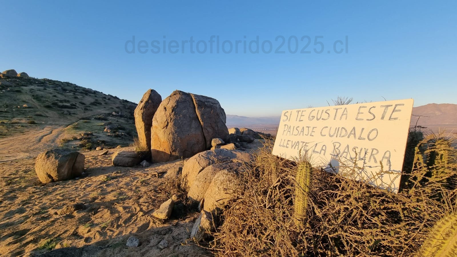 Atacama se Prepara: Llamado Urgente a Proteger el Desierto Florido 2025